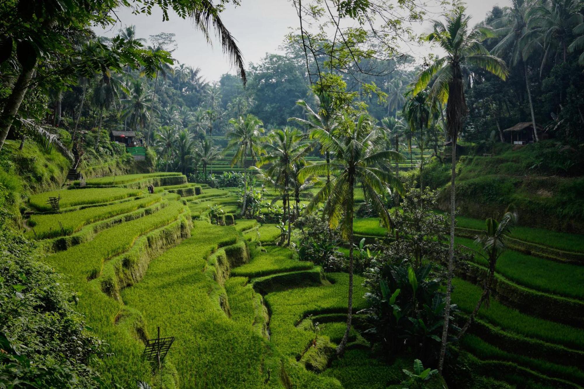 Villa Seremi Ubud Gianyar  Bagian luar foto